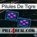 Tiger Pills 03